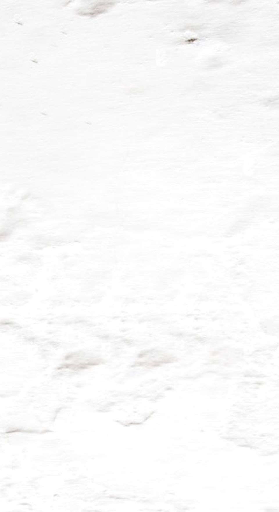 Greek Taverna, Greek Food, Fresh Fish.